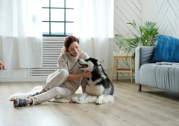A Practical Guide to Socializing Your Puppy During the Pandemic - Wagr Petcare