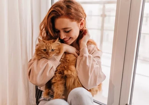 When Is Vet Consultation Required for Cats? - Wagr Petcare